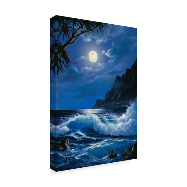 Anthony Casay 'Water Under The Moon' Canvas Art,16x24